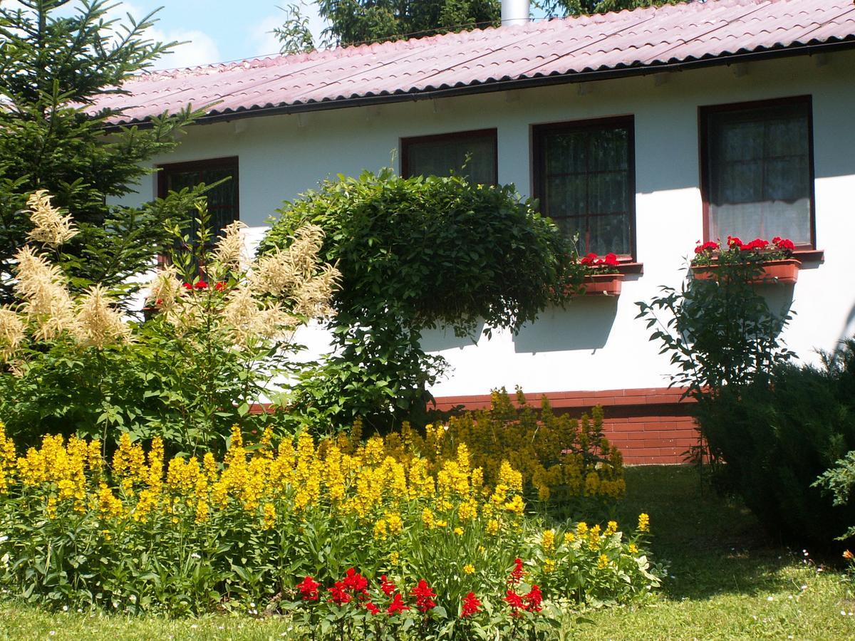 Marina Bajana * Mikołajki